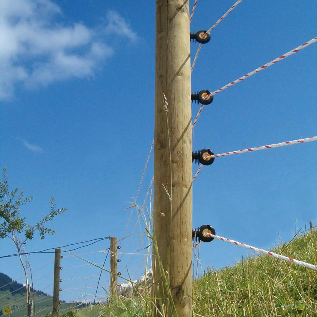 TurboLine Cord, Duopack (2x200m), Weiß